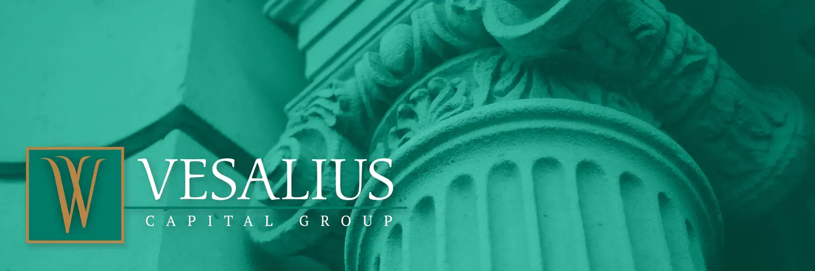 Vesalius Capital Group logo