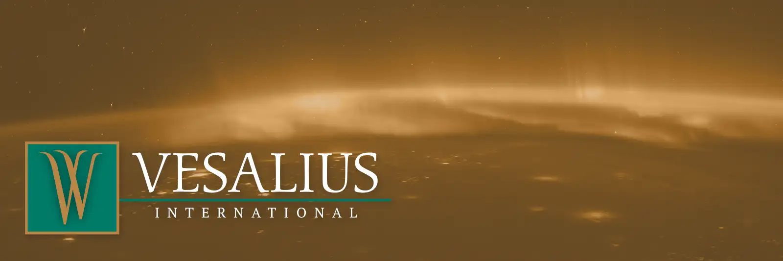 Vesalius International logo